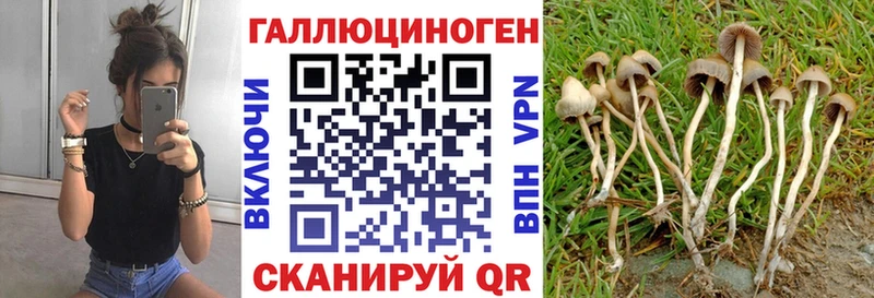 Галлюциногенные грибы ЛСД  Купить где  Удомля 